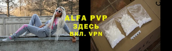мяу мяу кристалл Богданович