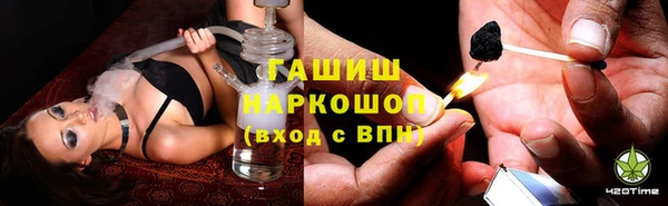 индика Беломорск