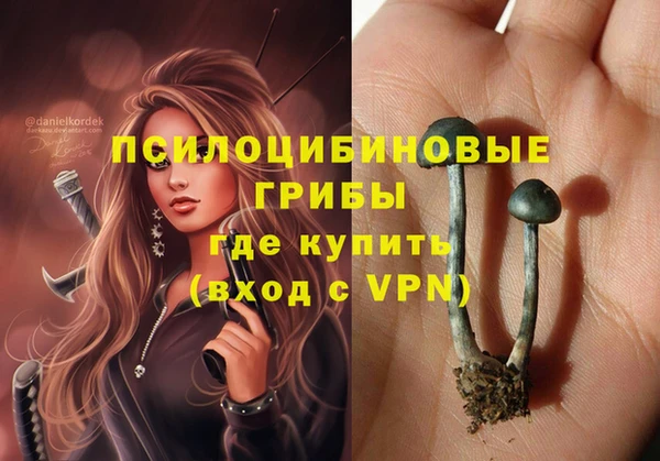 синтетический гашиш Богородск